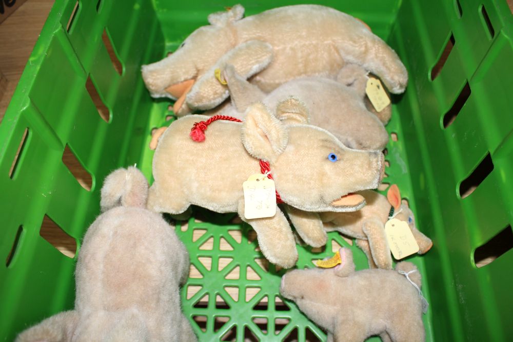 A group of assorted soft toy pigs including Steiff